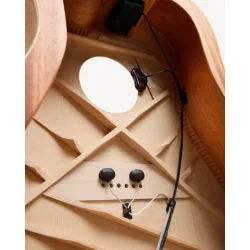 L.R. Baggs HiFi DNA